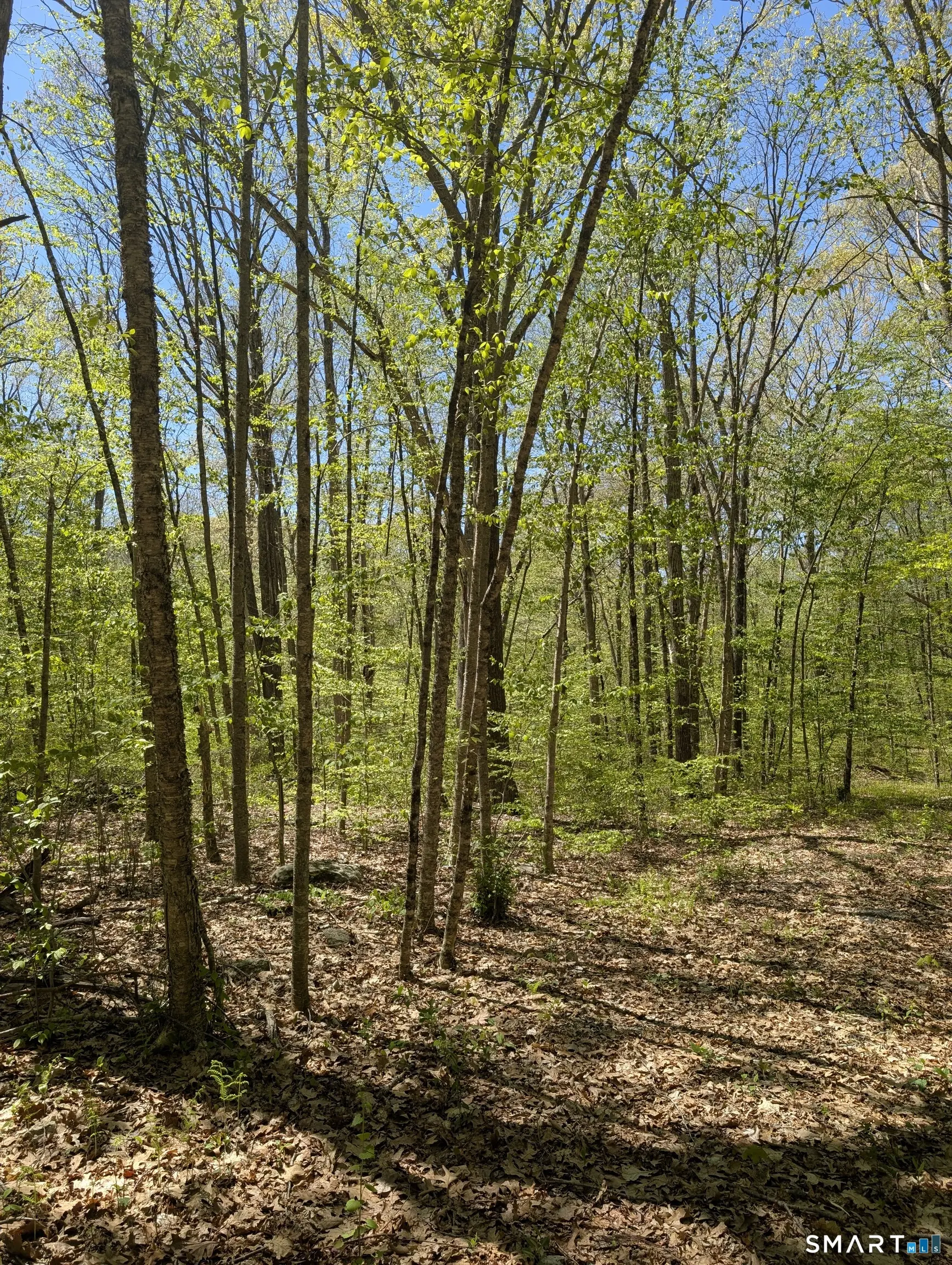 Englewood Trail, Coventry