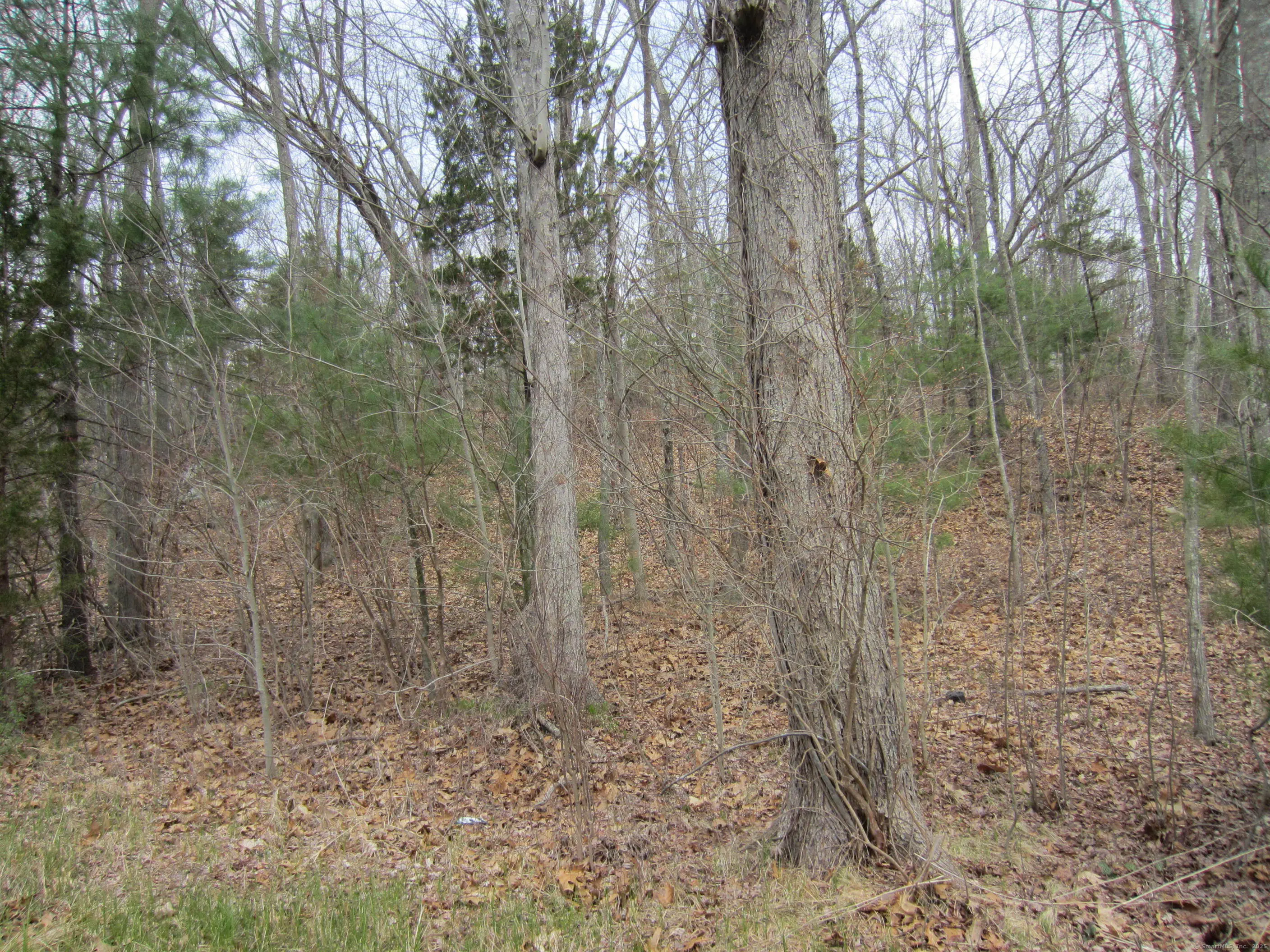43 Fallbrook Road, Killingly