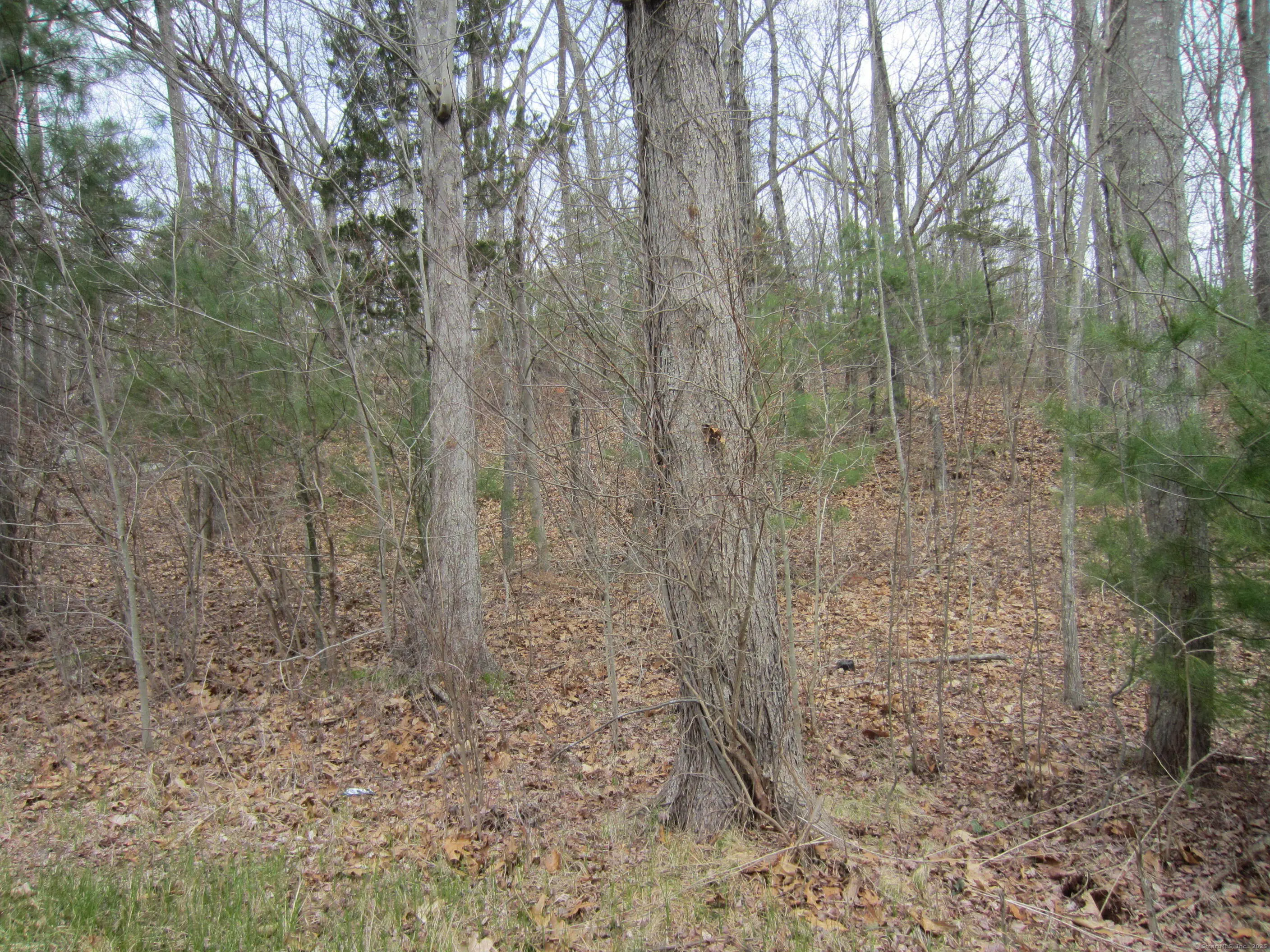 70 Cutler Road, Killingly