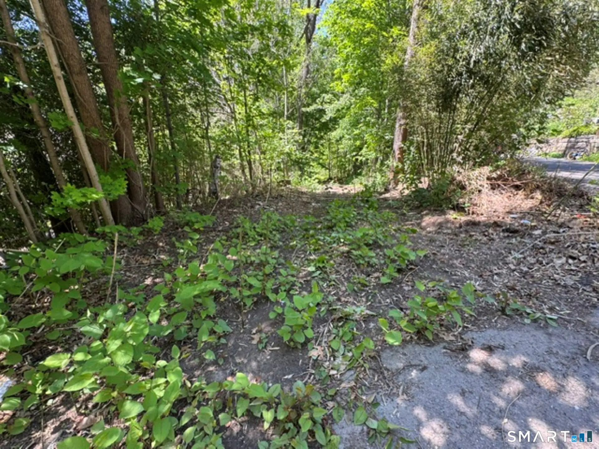 0 Wooster Street, Naugatuck