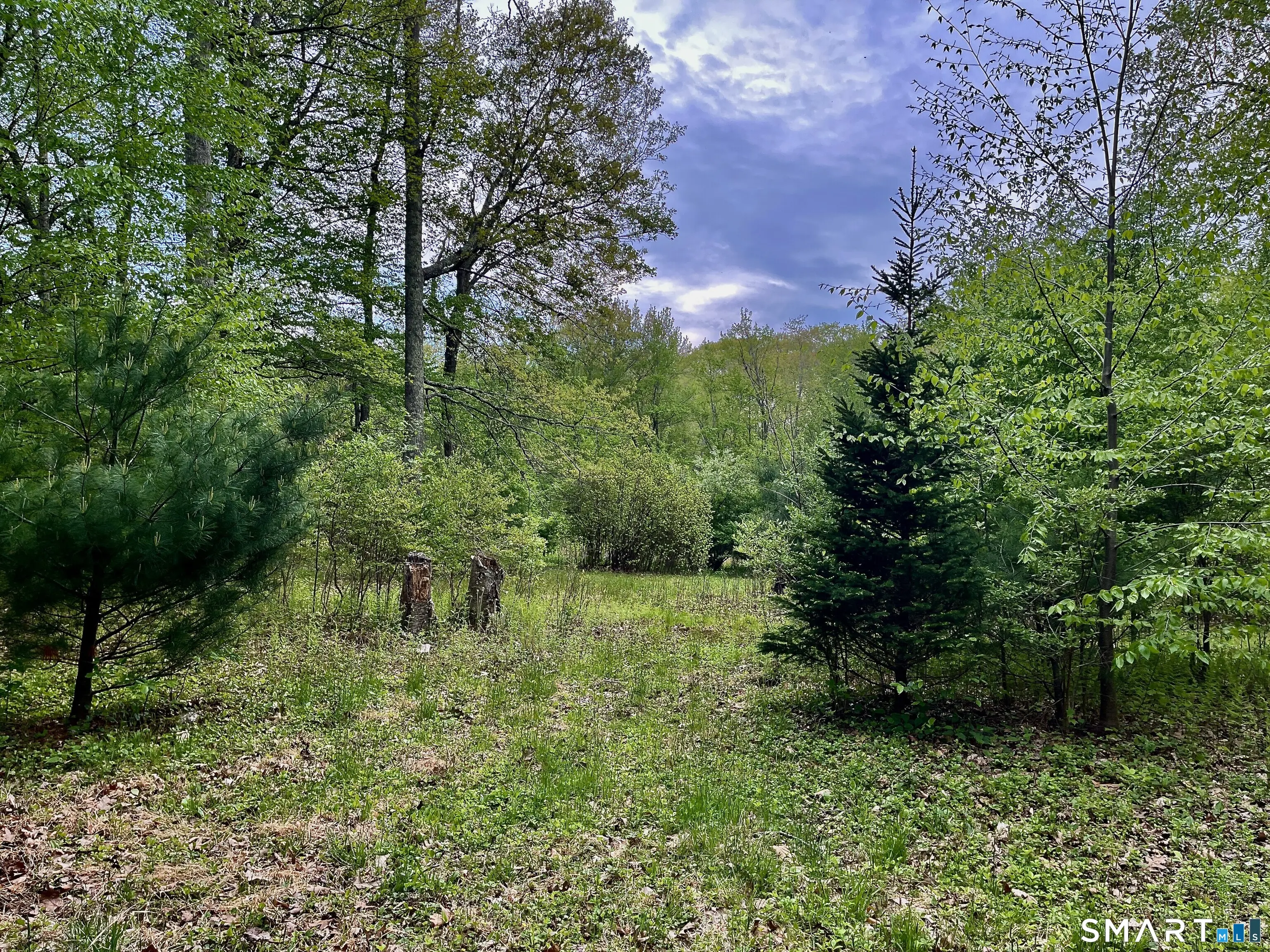 Meadow Brook Road, Hebron