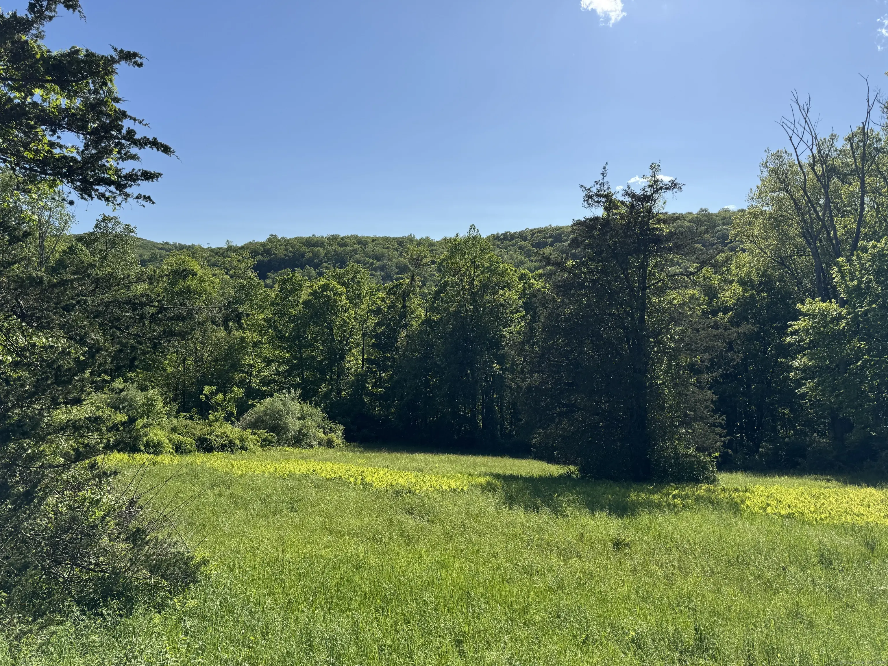 Rte 39 South, State Route, Sherman