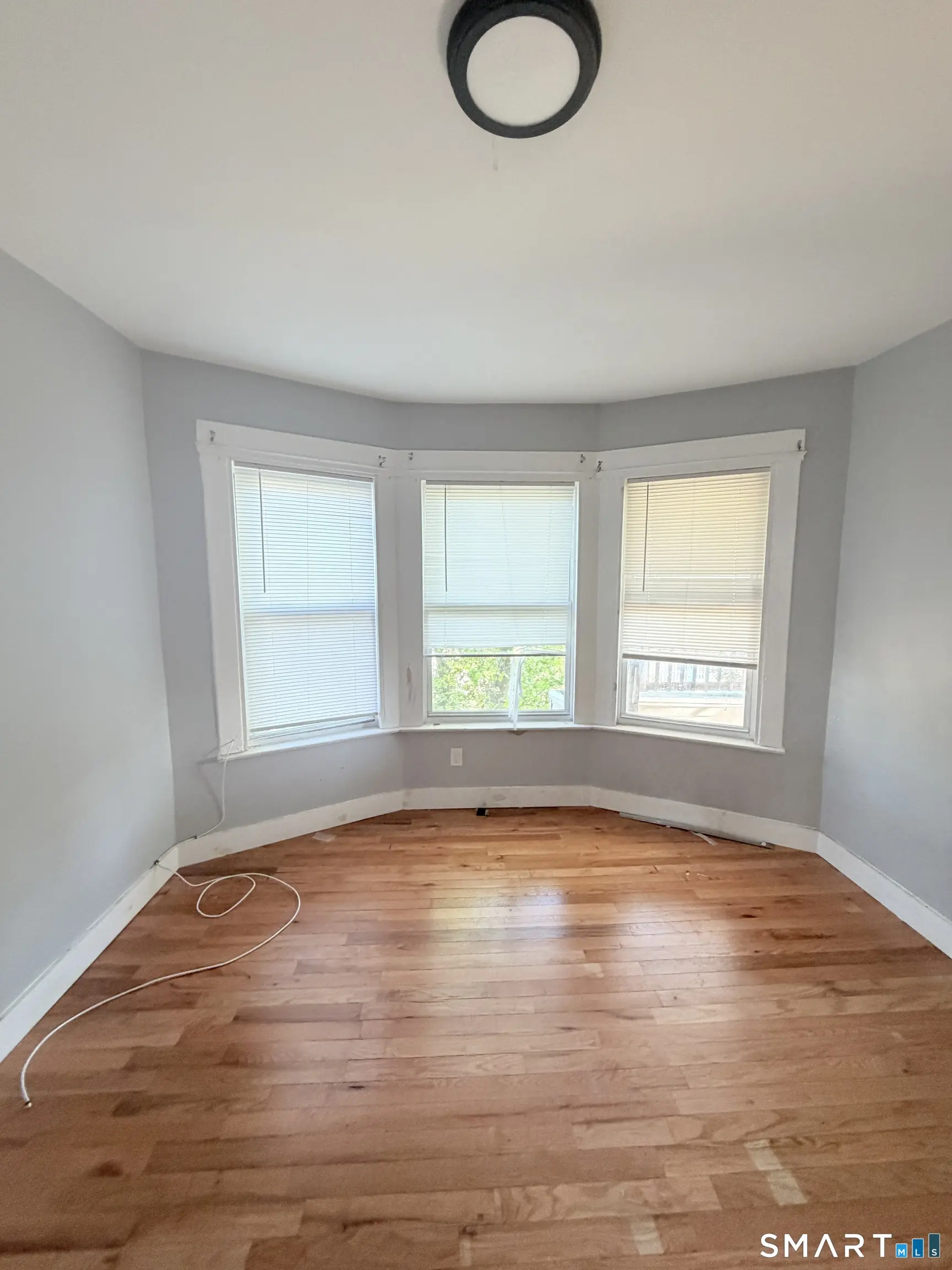 161 Lamberton Street 3, New Haven