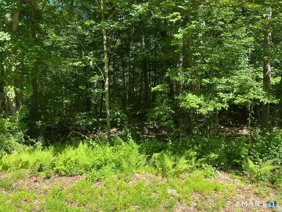 Middle Turnpike Lot 24, Mansfield