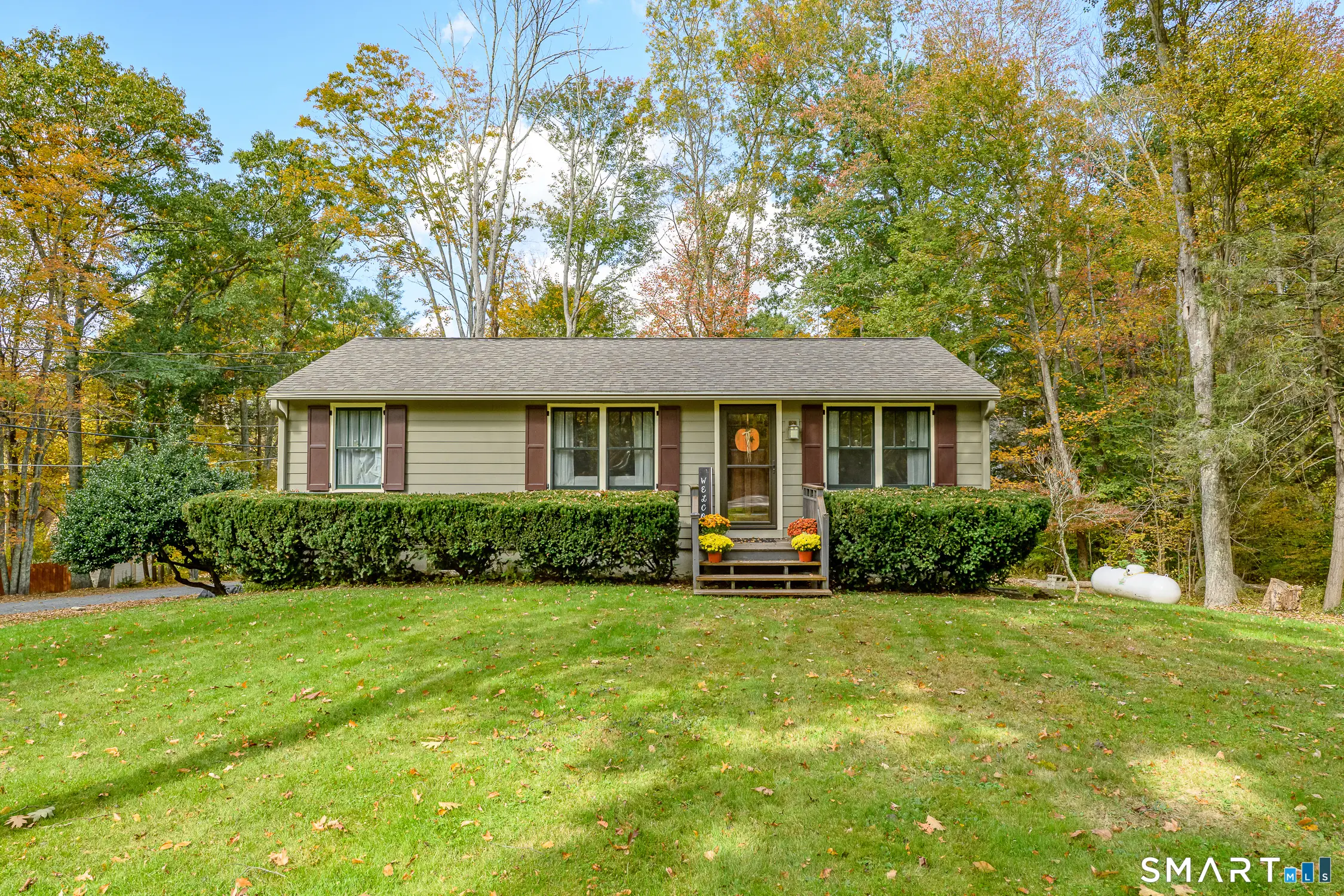 1629 Route 171, Woodstock