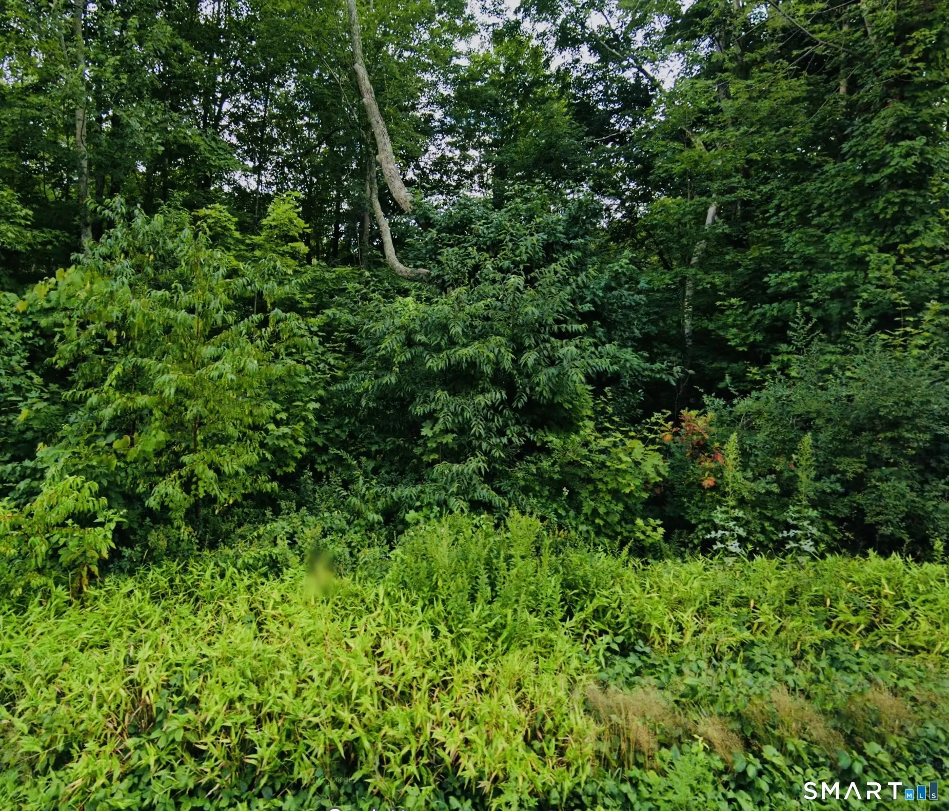 Lot 6 & 6a Mashamoquet Road, Pomfret