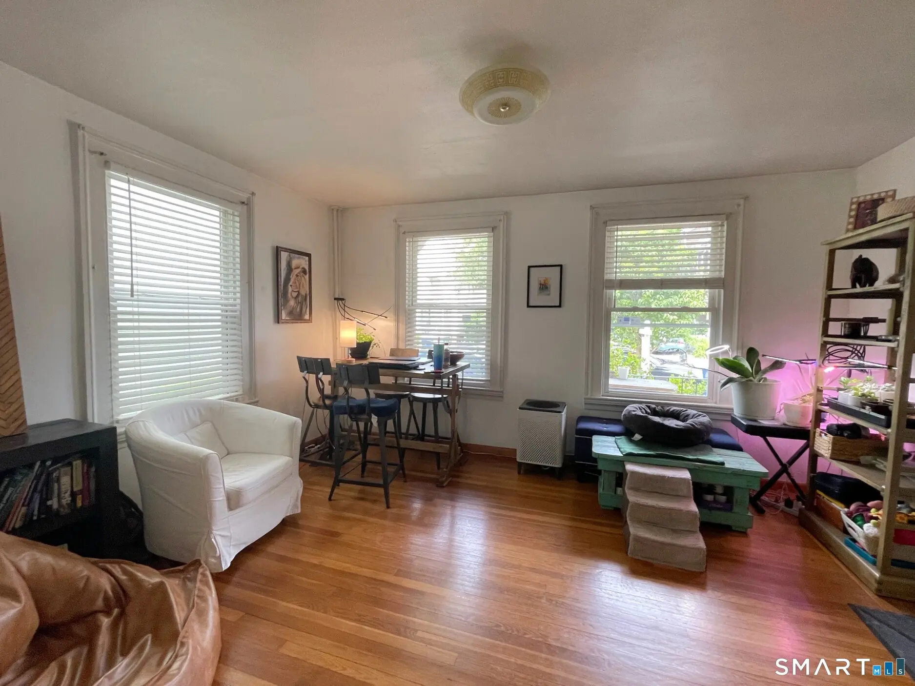 34 Cottage Street 1, New Haven