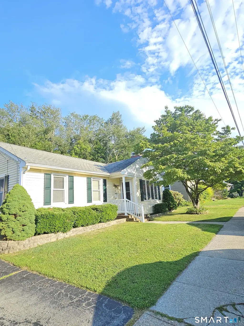 54 Woodrow Avenue, Norwich