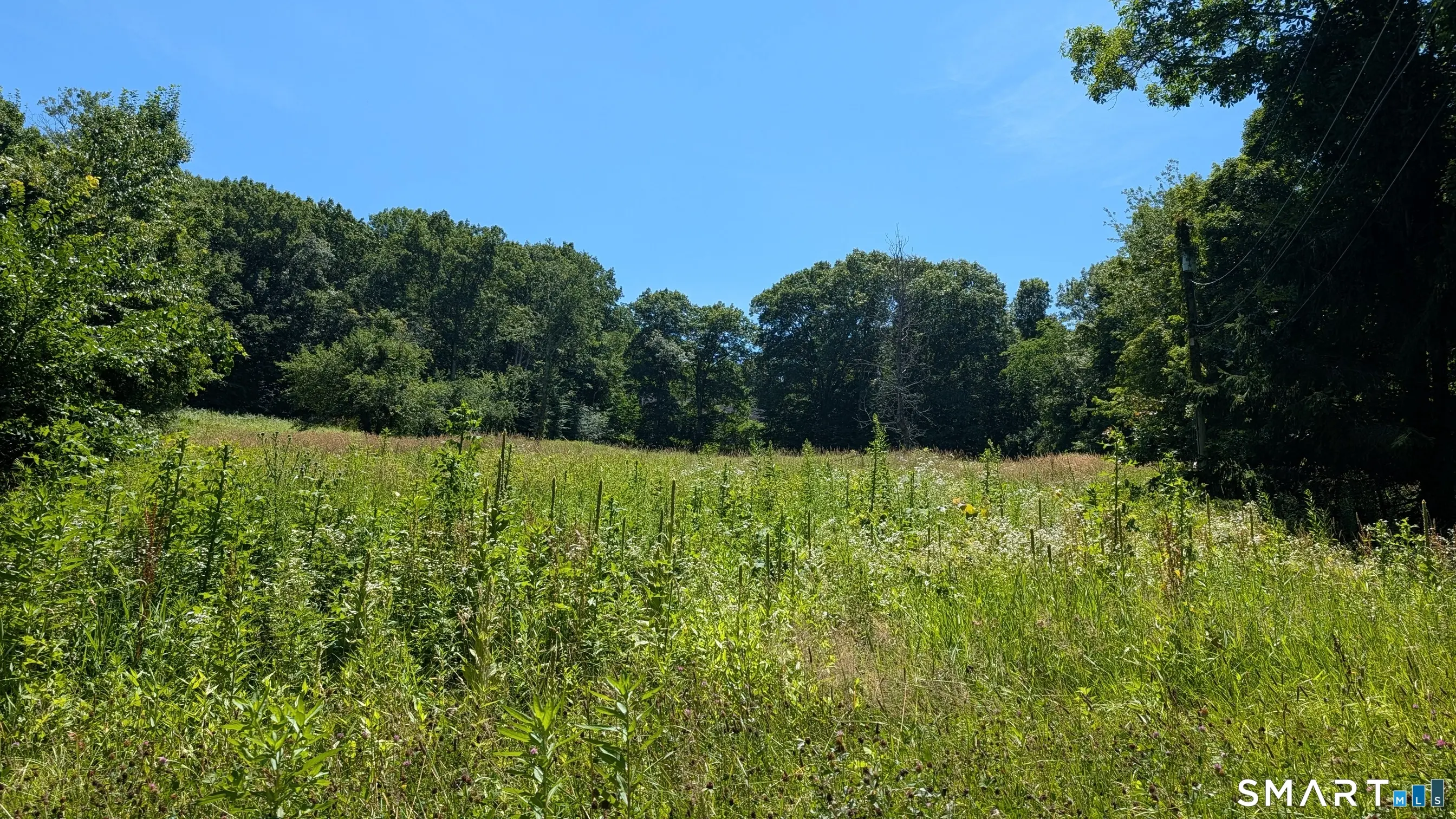 Hoop Pole Hill, Woodbury