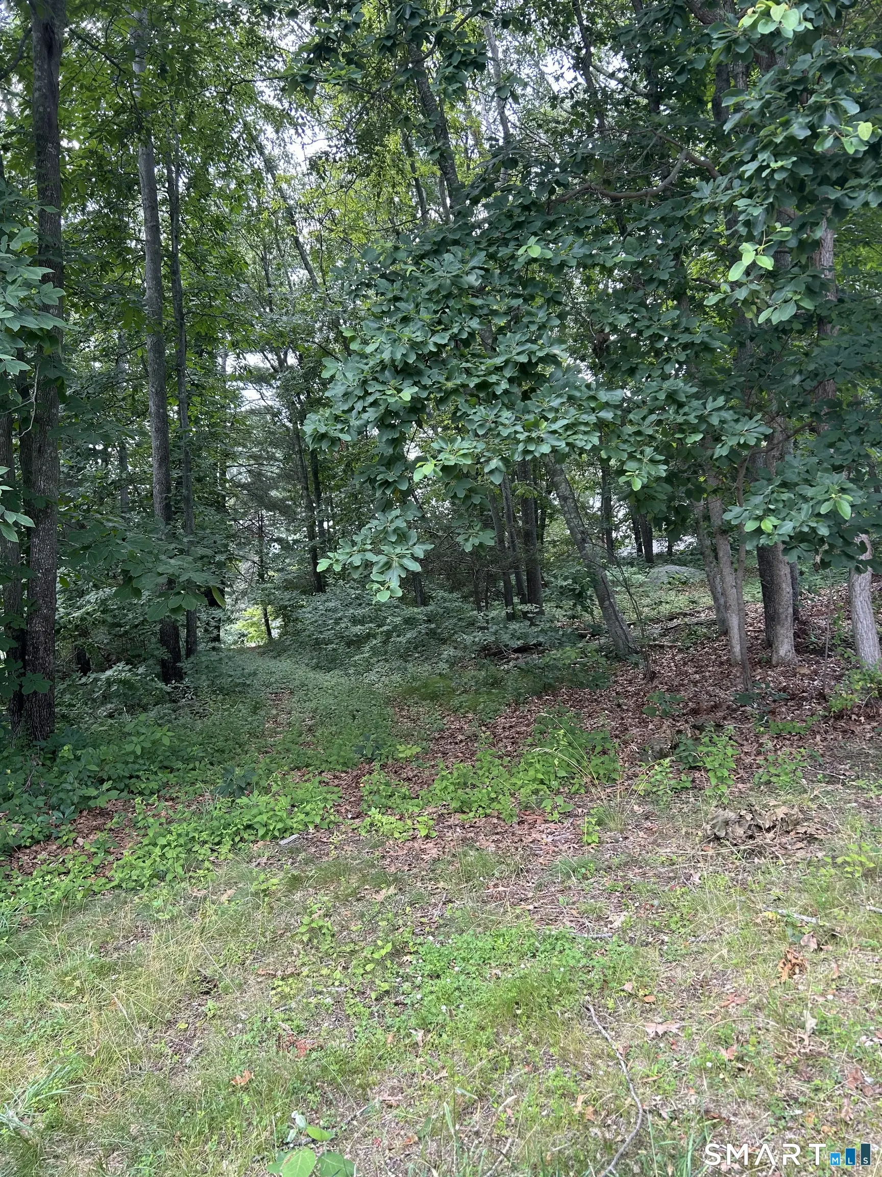 29 Skyline Drive, Groton