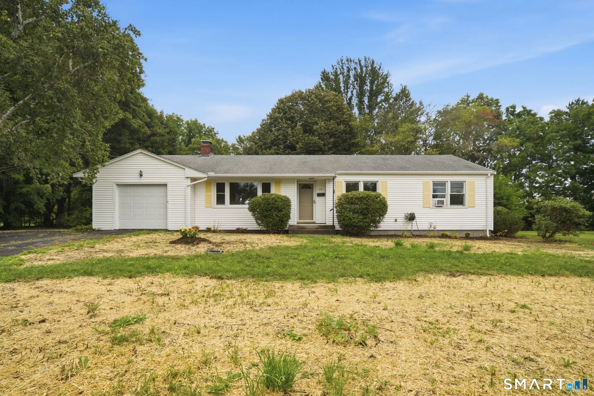 19 Sycamore Road, Bloomfield
