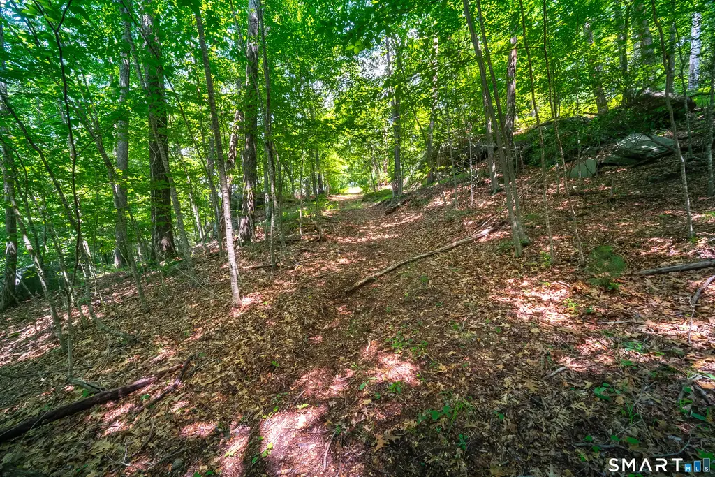 61 Silver Springs Drive, Haddam