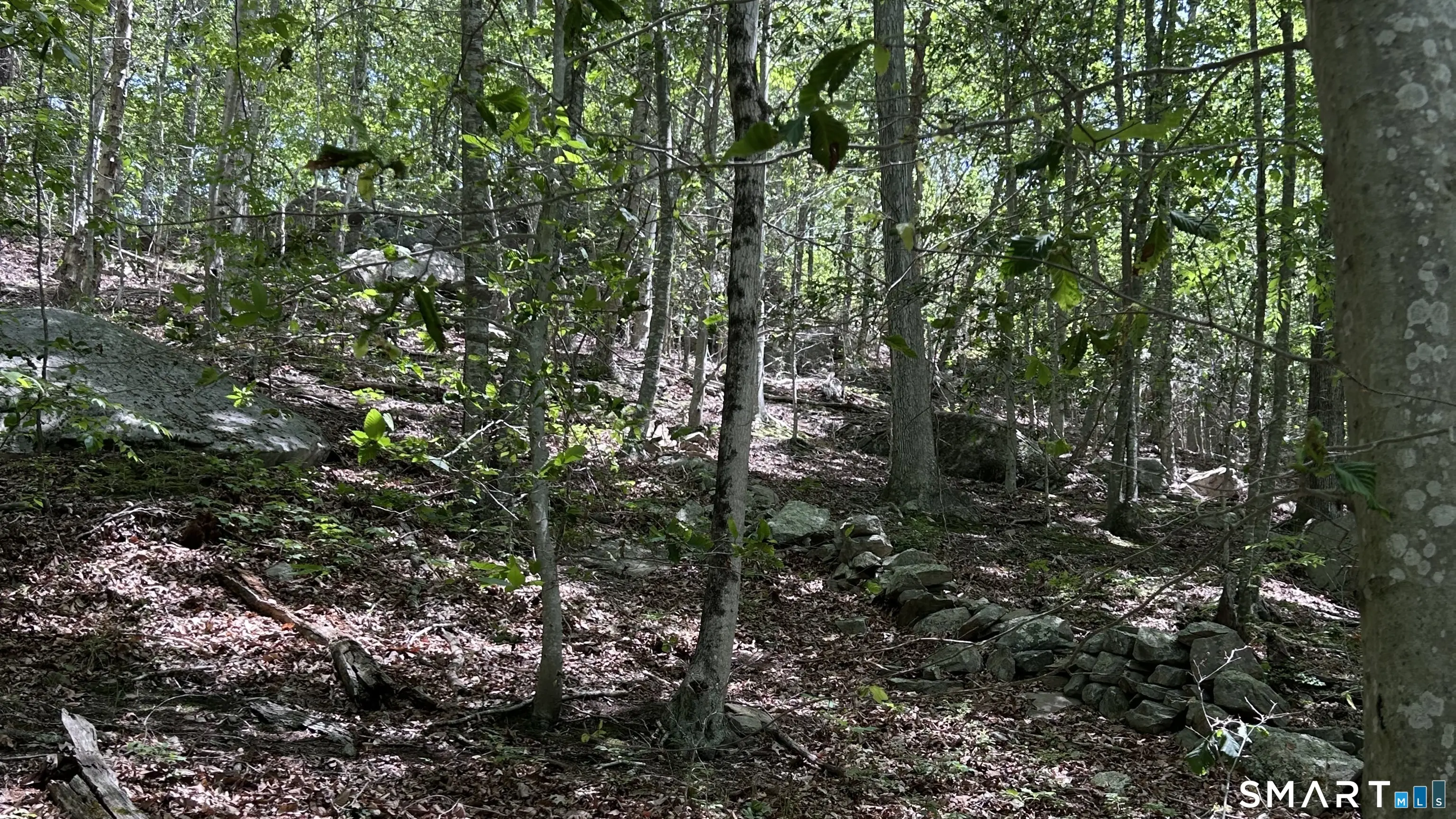 0 Norwich Salem Road, East Haddam