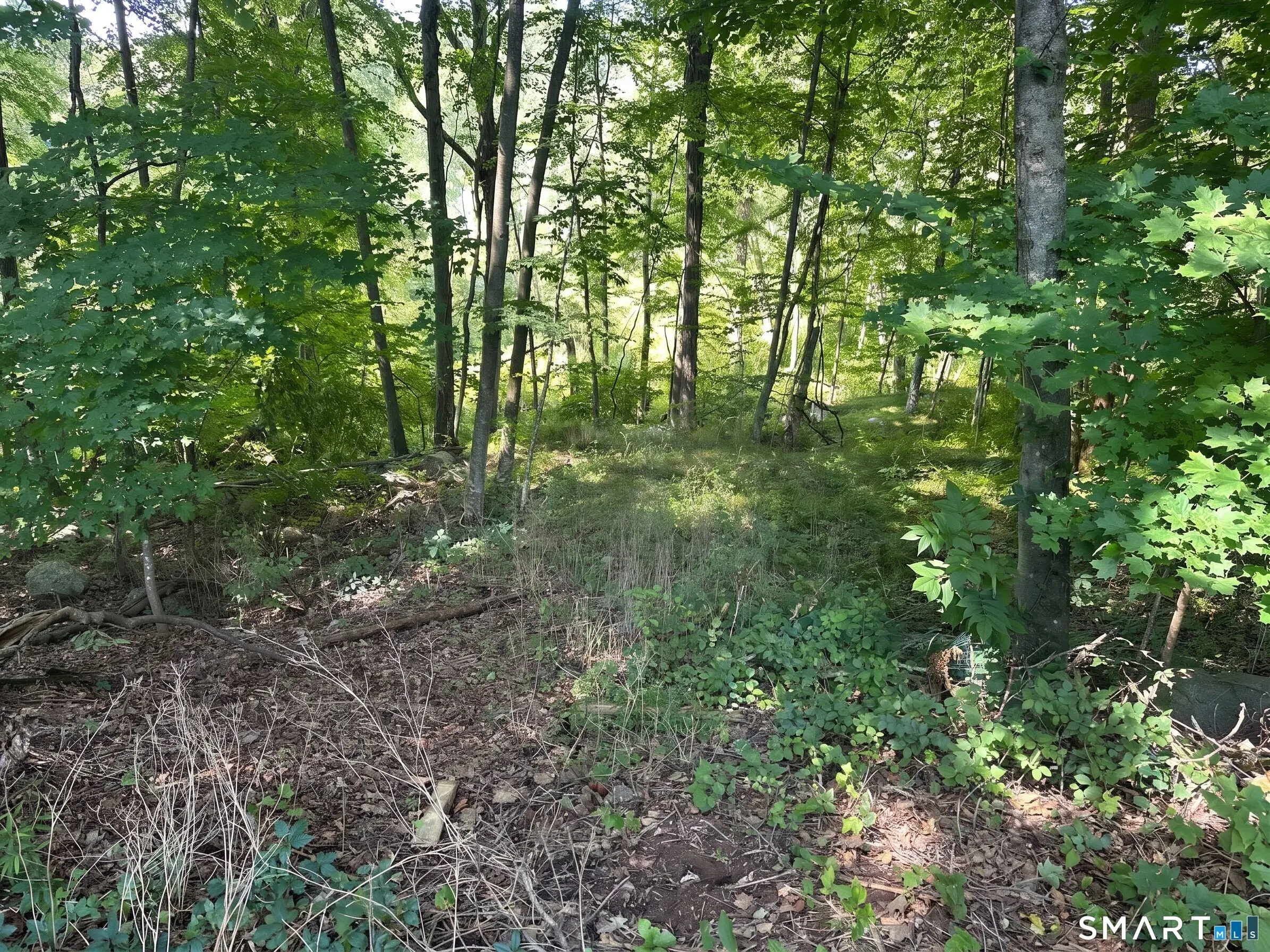 56 Hubbell Mountain Road, Sherman