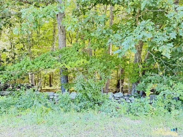 Beaver Dam Road, Killingworth