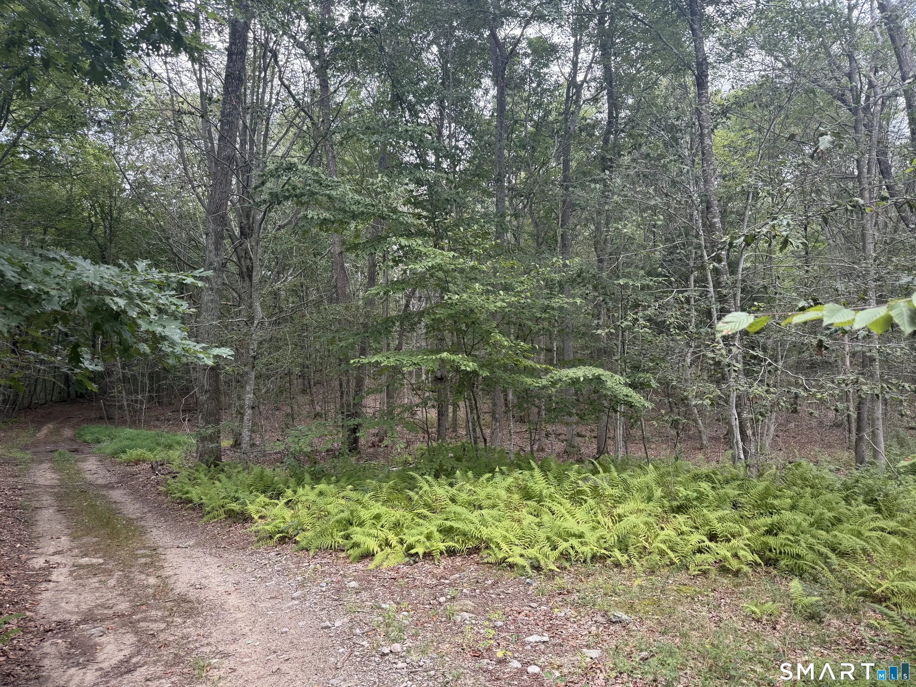 Lot 29 Route 32, Franklin