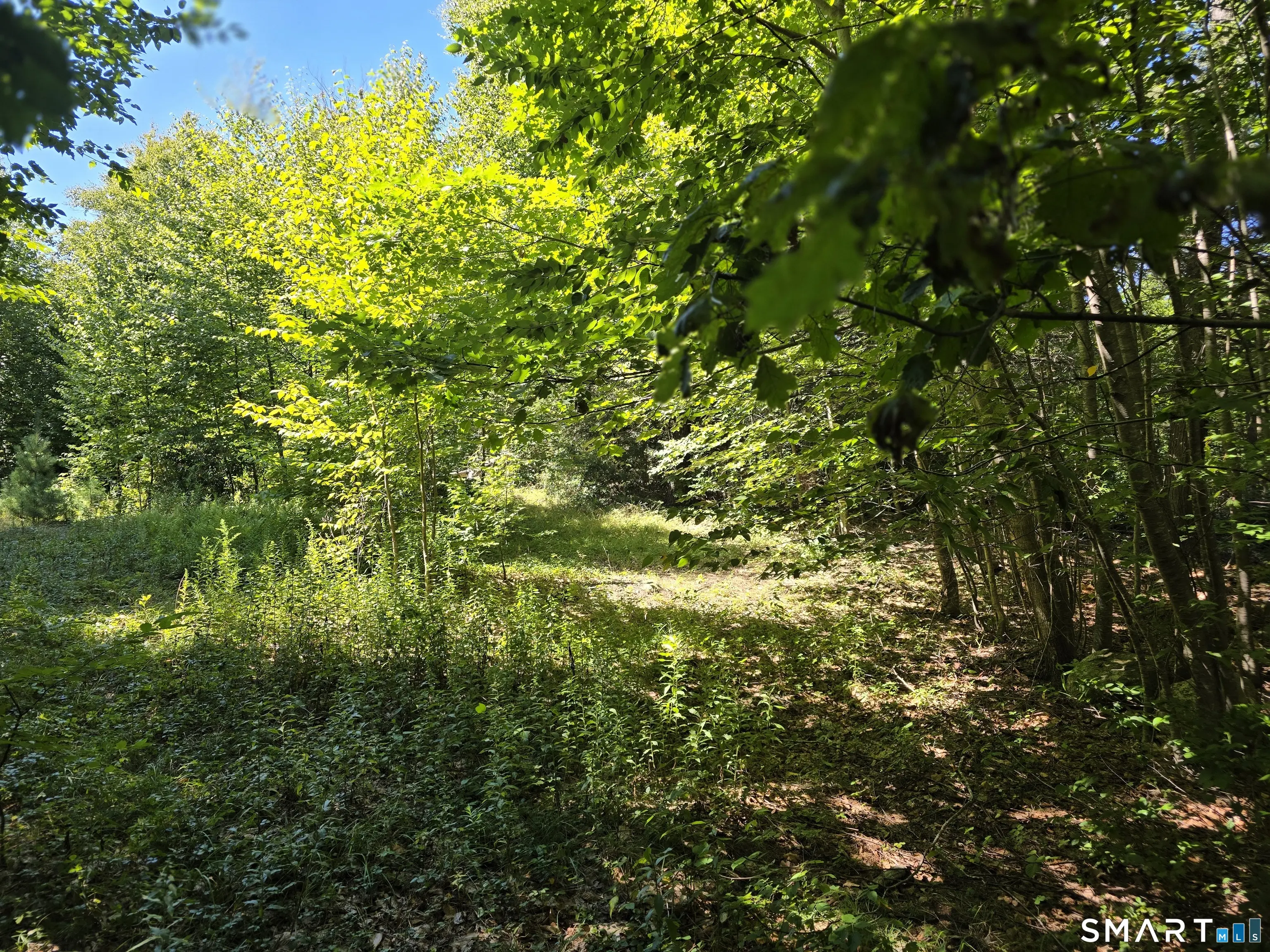 53 Flag Hill Road, Colebrook