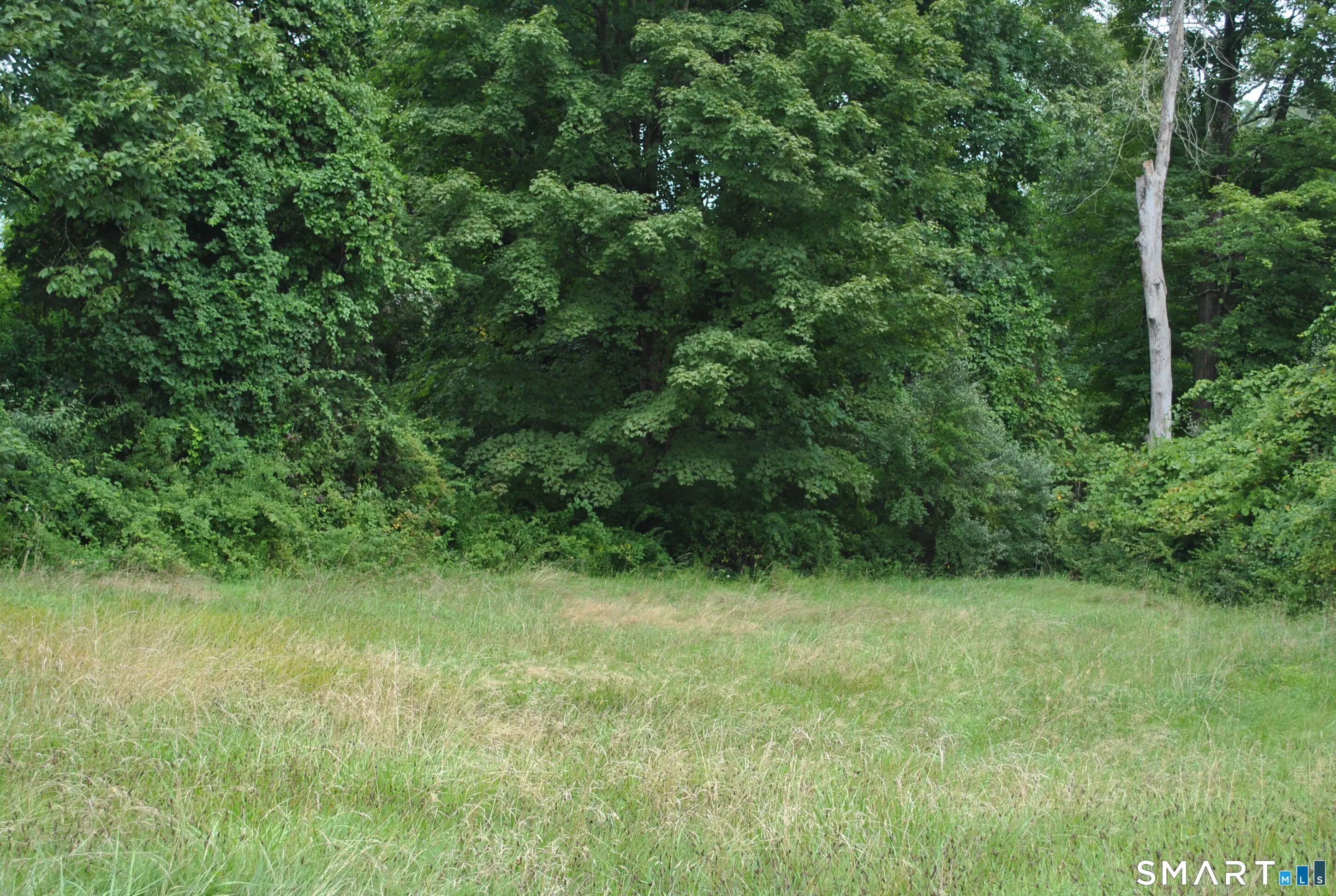 Park Lane Road, New Milford