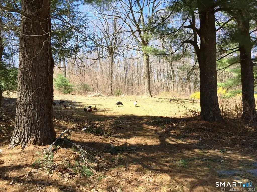 159 Campville Road, Litchfield