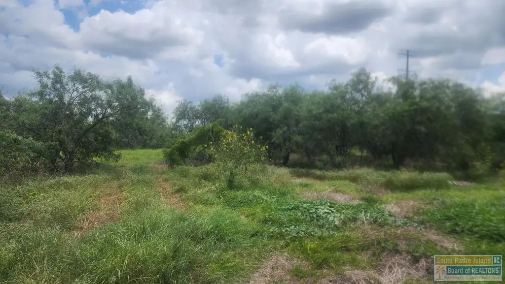 31099 Fm 1575, Los Fresnos