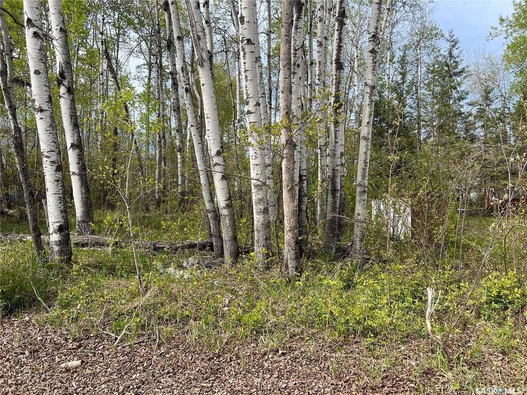 448 Cougar Road, Bjorkdale Rm No. 426