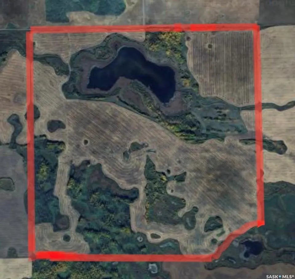 Flower Farm, Sasman Rm No. 336