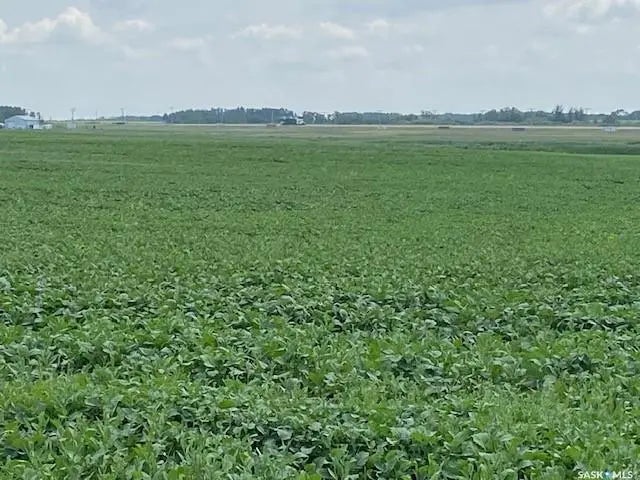 Ferguson Land, Moosomin Rm No. 121