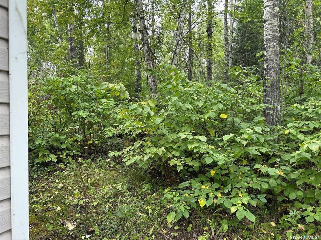 6040 Spruce Way, Bjorkdale Rm No. 426