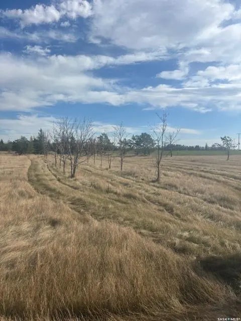 Dieter Martin Greenhouse Ltd., Langham