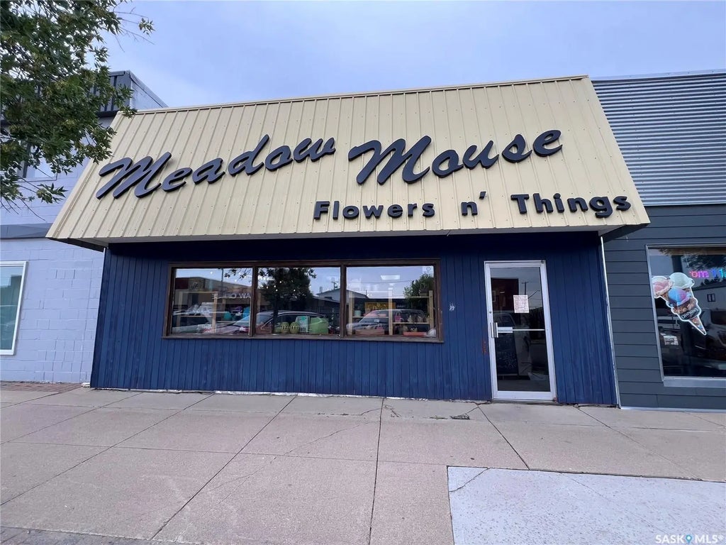 224 Centre Street, Meadow Lake