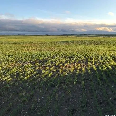 Acreage B Lovering Lakes, Craik Rm No. 222