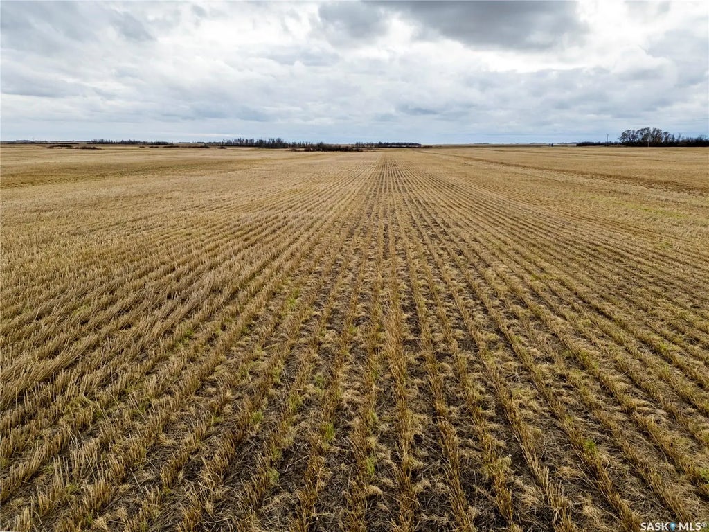 2,326 Acres - Estevan/macoun, Benson Rm No. 35