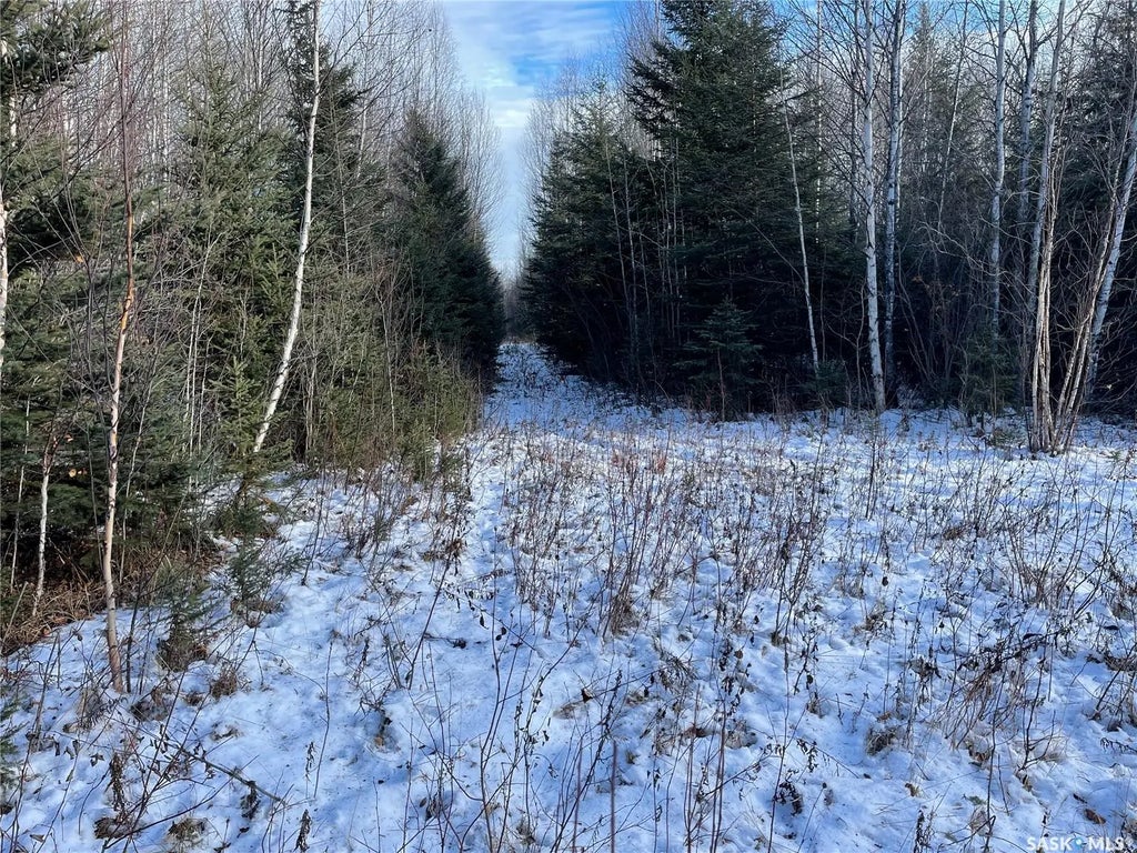 Peifer N. Cabin Lease, Hudson Bay Rm No. 394