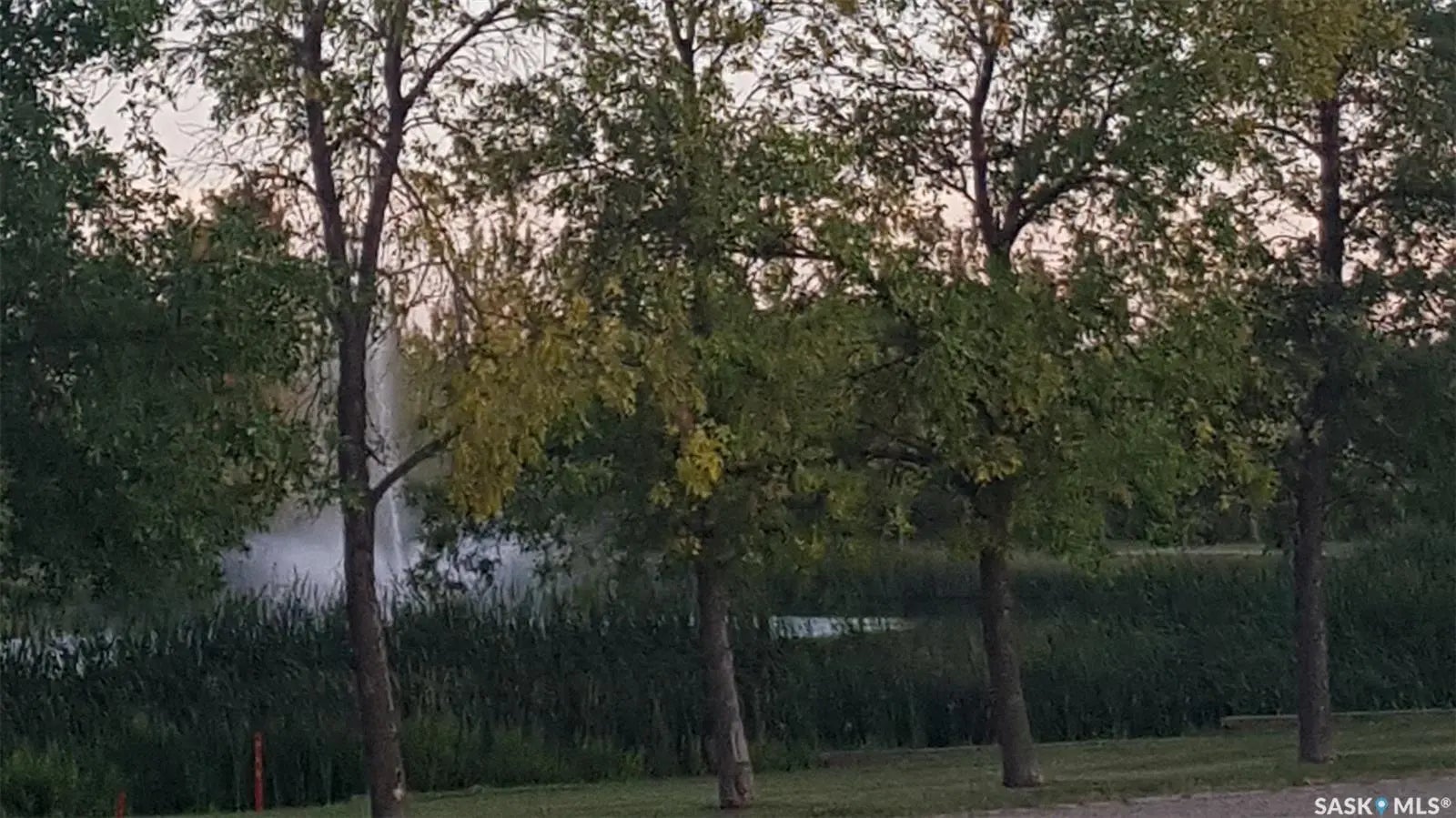 Photo of Listing #SK025210