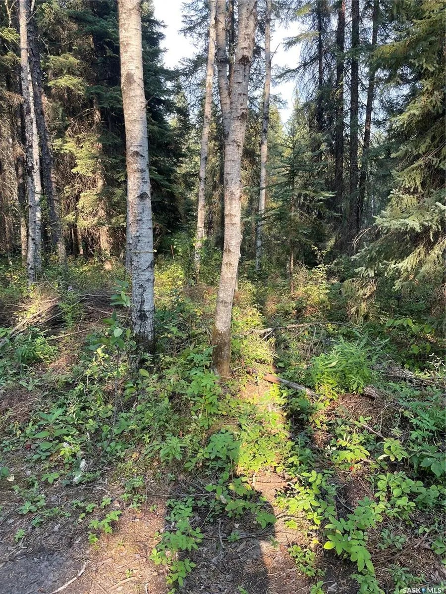 5.22 Acre Lot, Hudson Bay Rm No. 394