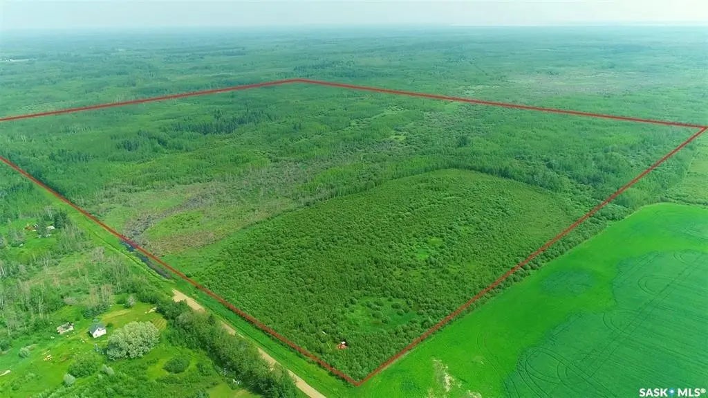 Recreational Quarter Of Land N-e Of White Fox, Torch River Rm No. 488