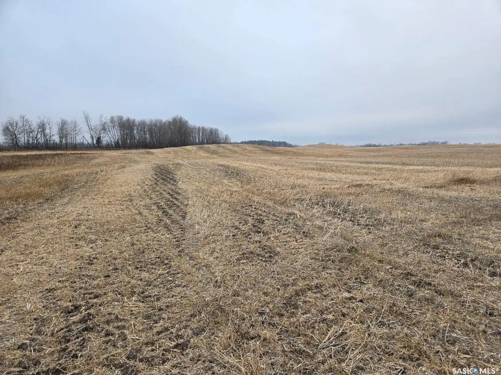 Guenter Land, Canwood Rm No. 494