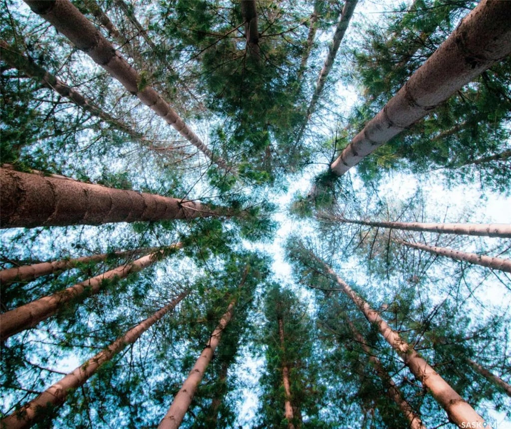 Lot 3 Block 3, South Shore Lane, Meeting Lake