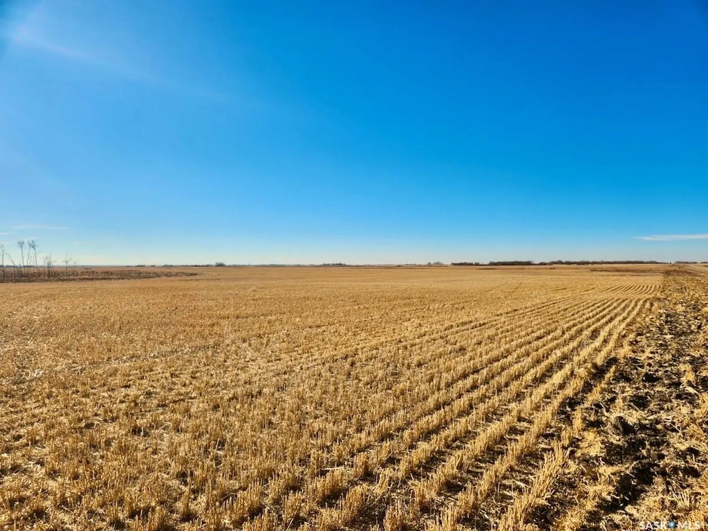 Creelman 356 Acres Grain Farmland, Fillmore Rm No. 96