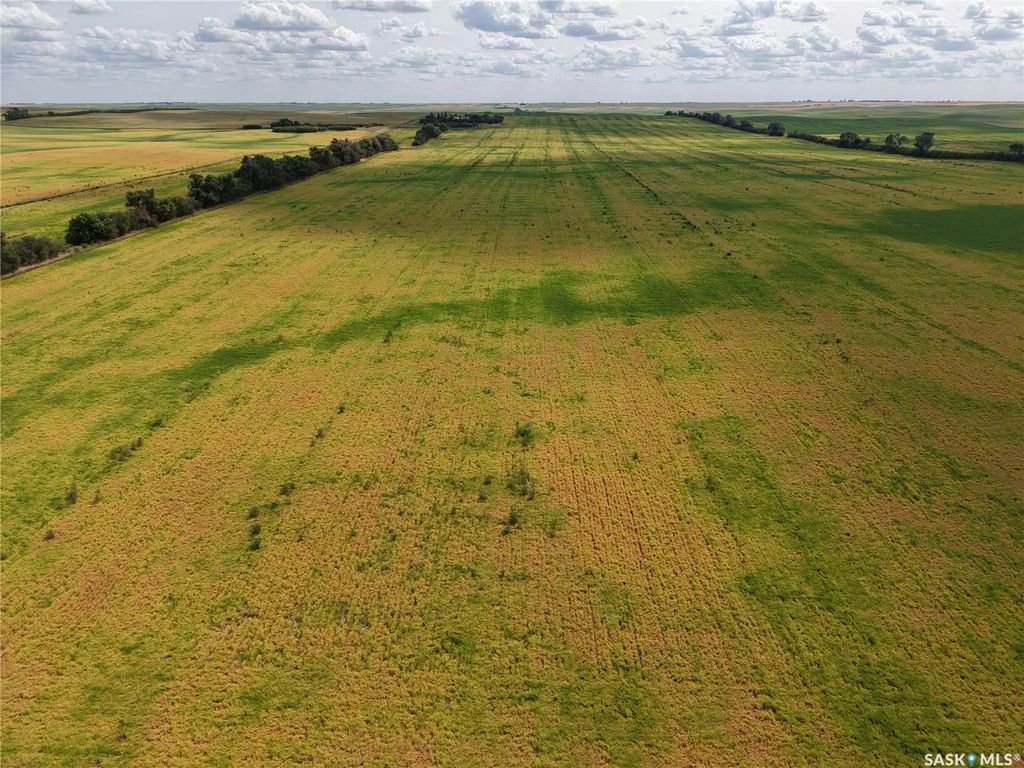 Hazlet 1,256 Acres Grain Farmland, Pittville Rm No. 169