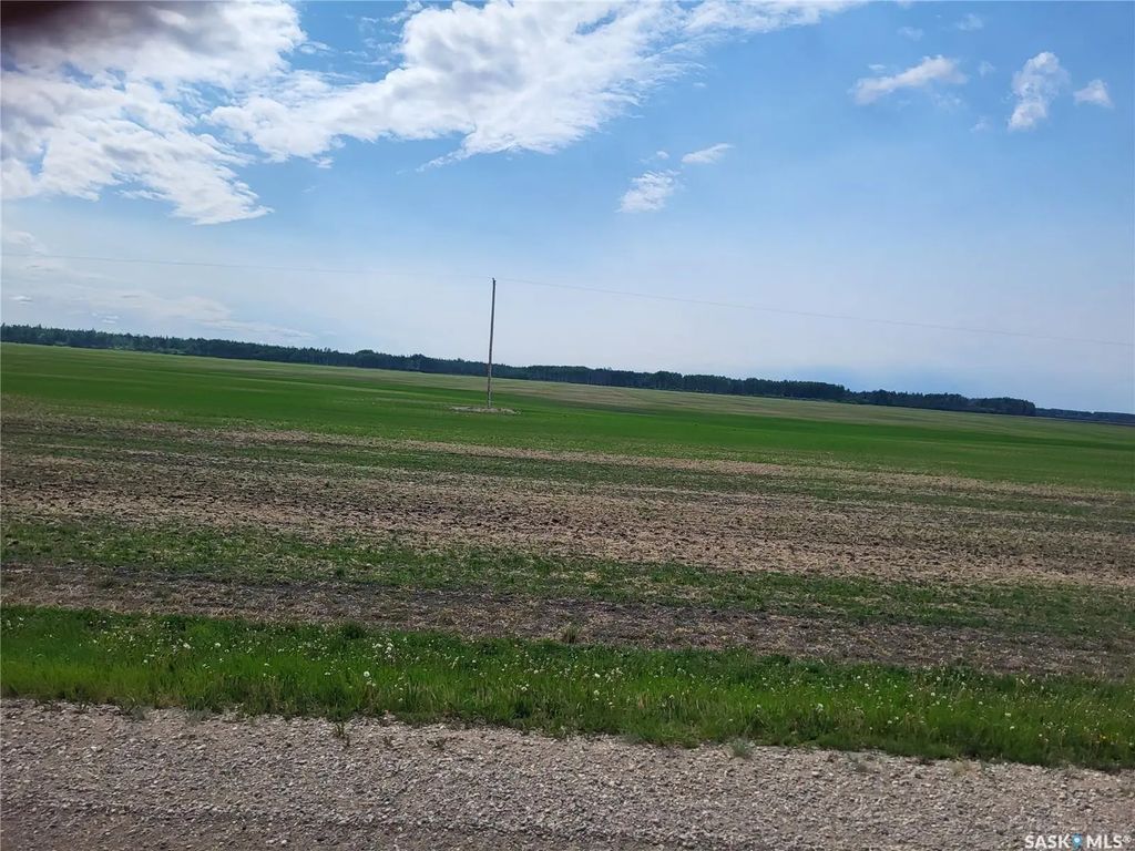 Carrot River 158 Acres Grain Farmland, Moose Range Rm No. 486