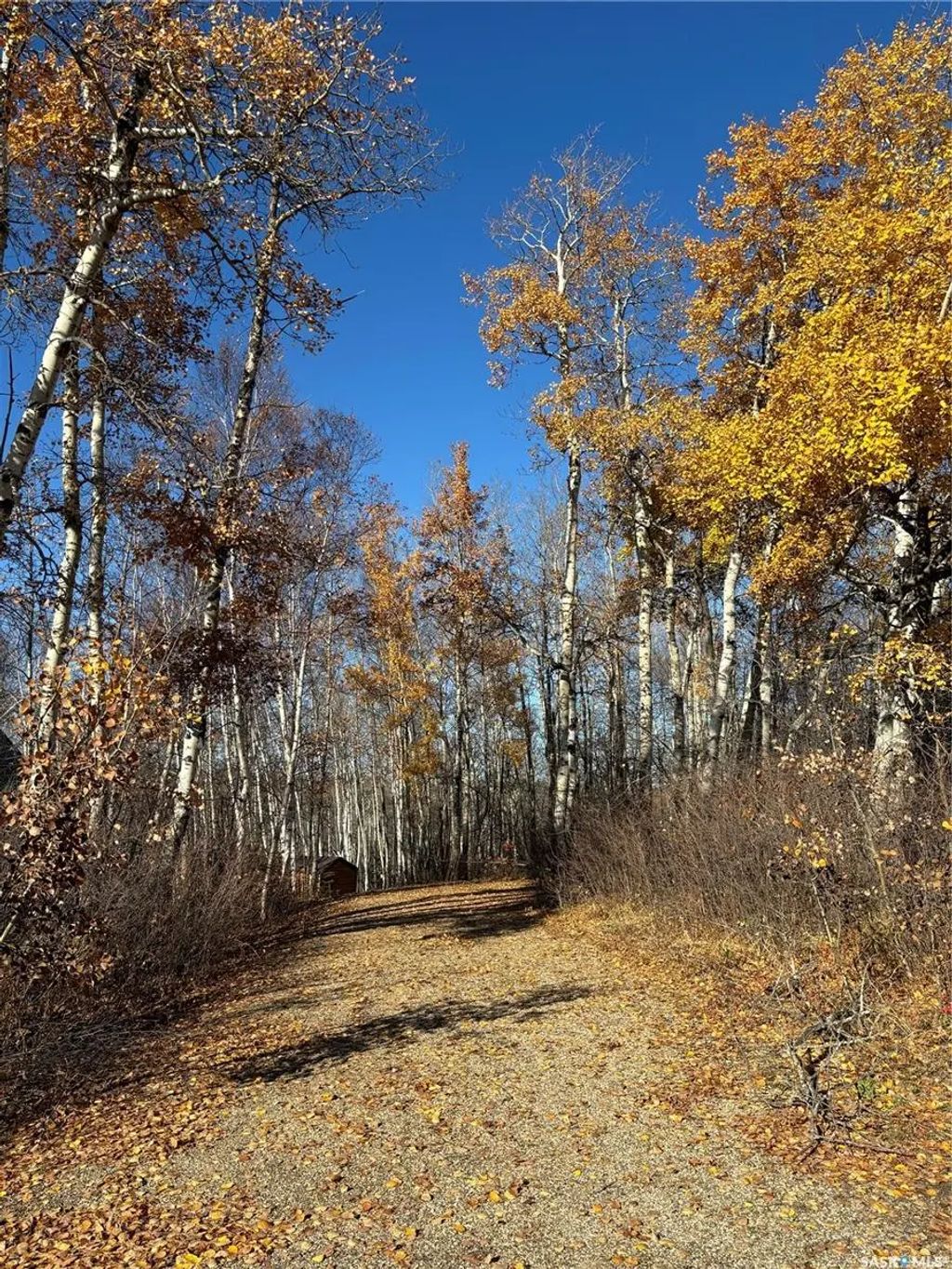 502 Bear Ridge Road, Barrier Valley Rm No. 397
