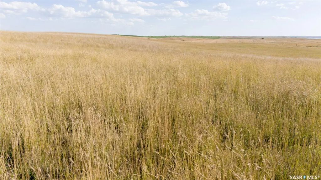 243 Deeded Acres W/ Assignable Crown Lease Rm 101, Terrell Rm No. 101