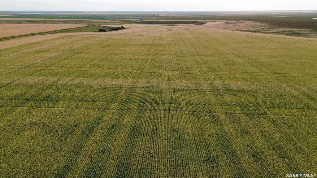 Rosetown 160 Acres Grain Farmland, St. Andrews Rm No. 287