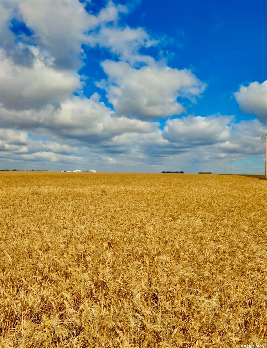 Photo of Listing #SK017740