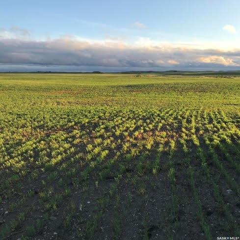 Acreage A Lovering Lakes, Craik Rm No. 222