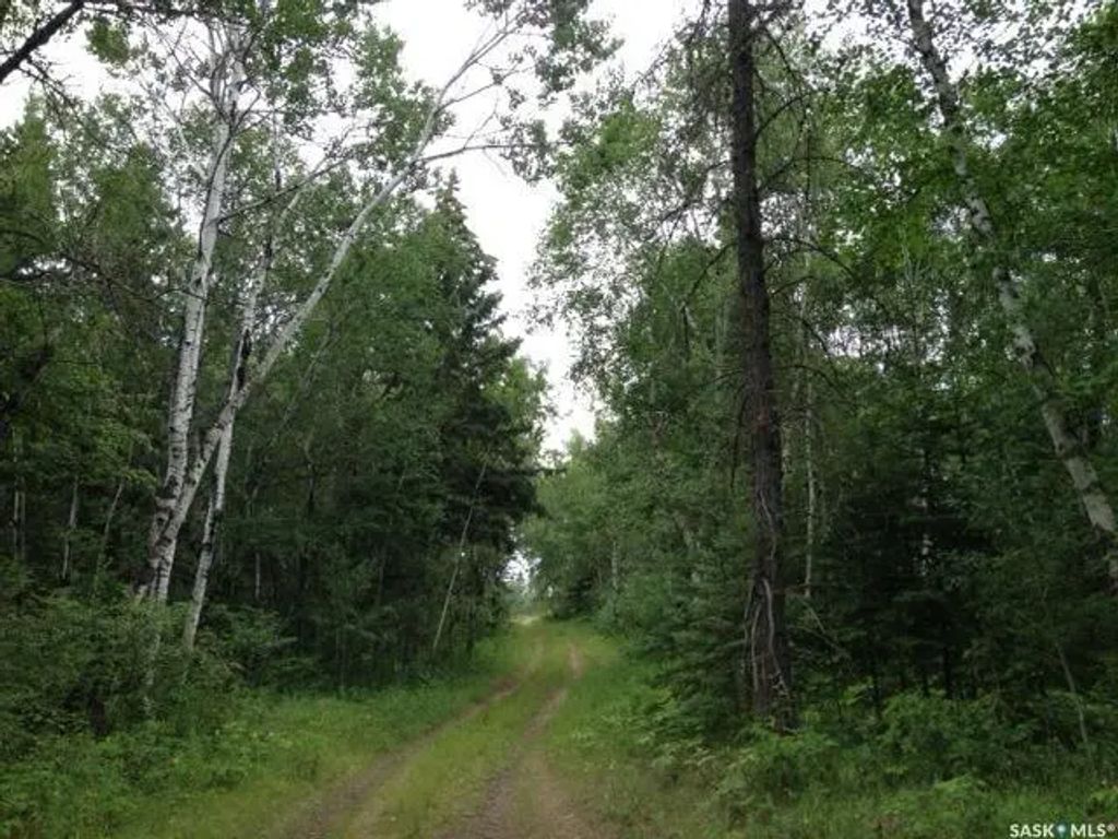 3-3 Lot 1.20 Acre, Hudson Bay Rm No. 394
