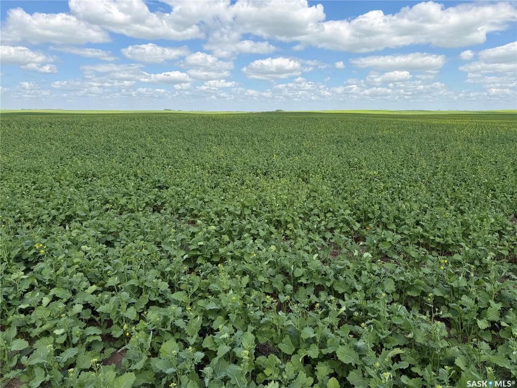 Semans 961 Acres Grain Farmland, Mount Hope Rm No. 279