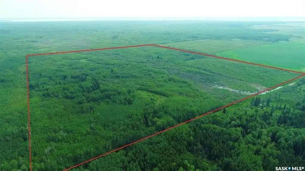 Recreational Quarter Of Land N-e Of White Fox, Torch River Rm No. 488