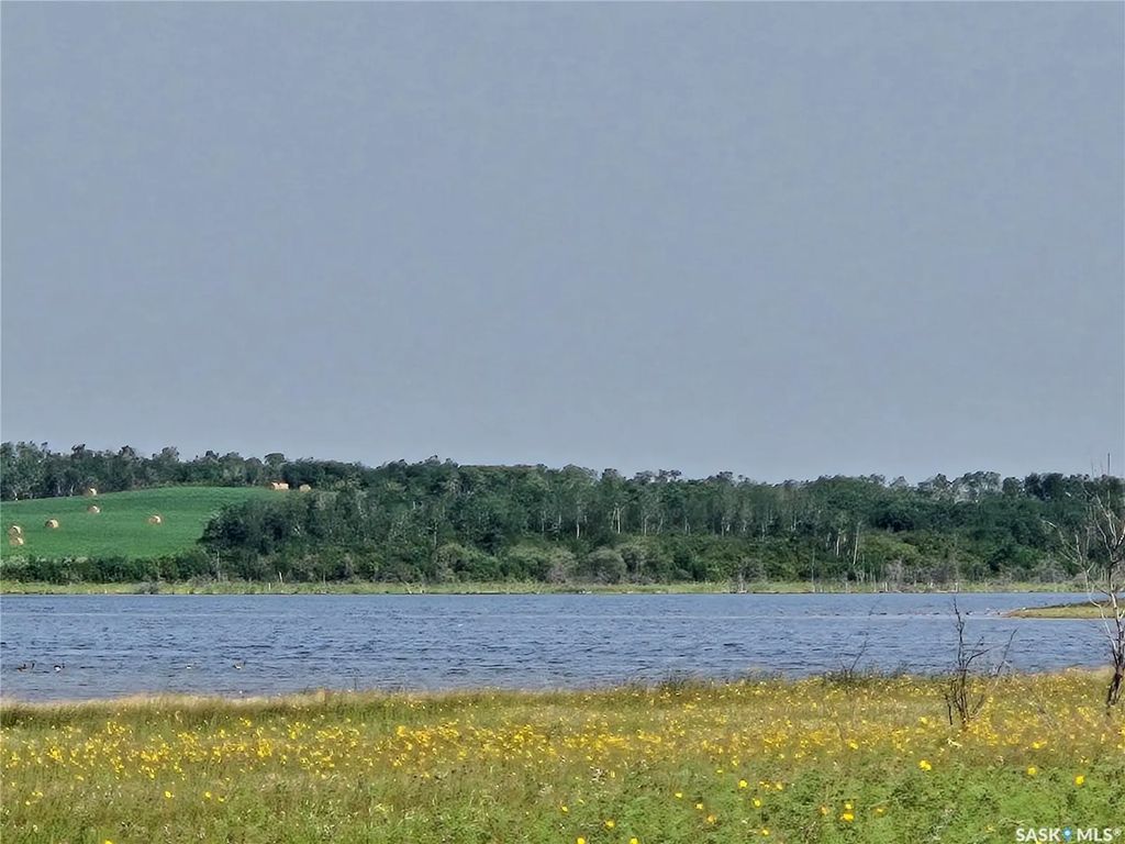 Laroque Land, Duck Lake Rm No. 463
